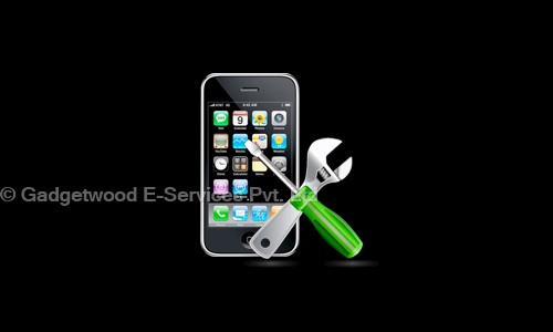 Gadgetwood E-Services Pvt. Ltd. in Kirti Nagar, Delhi - 110015