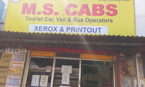 MS Cabs in Adambakkam, Chennai - 600088
