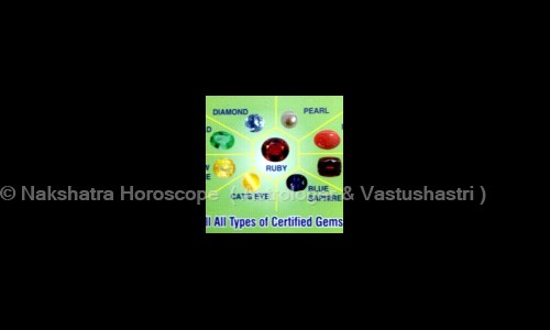 Nakshatra Horoscope   Astrologer & Vastushastri  in Malad West, Mumbai - 400064