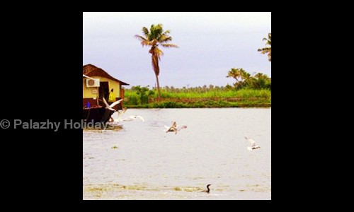 Palazhy Holidays in Sasthamangalam, Trivandrum - 695010