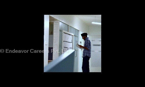 Endeavor Careers Pvt. Ltd. in Alkapuri, Vadodara - 390007