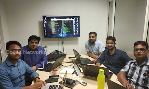 Codec Networks Pvt. Ltd. in Connaught Place, Delhi - 110001