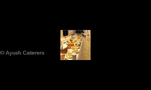Ayush Caterers in Dhankawadi, Pune - 411043