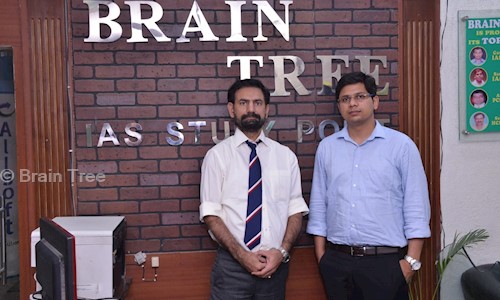 Brain Tree in Sector 17, Chandigarh - 160017