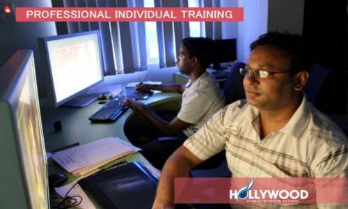Hollywood Visual Effects School Pvt. Ltd. in Cherlapally, Hyderabad - 500062
