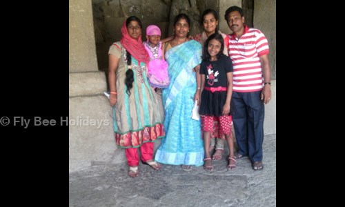 Fly Bee Holidays in Adyar, Chennai - 600020