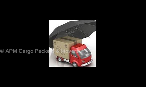 APM Cargo Packers & Movers in Sitapur Road, Lucknow - 226020