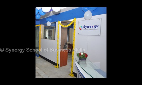 Synergy School of Business Skills in Park Street, Kolkata - 700016