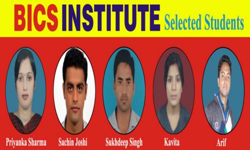 BICS Institute in Hari Nagar Ashram, Delhi - 110014