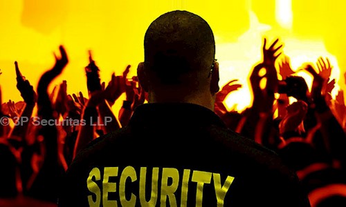 3P Securitas LLP in Okhla Industrial Area, Delhi - 110020