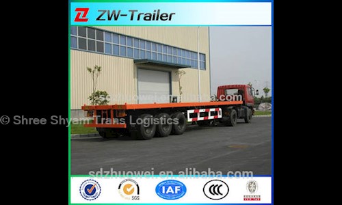 Shree Shyam Trans Logistics in Nangloi, Delhi - 110041