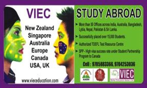 VIEC Education Consultancy in Guntur, Guntur - 522006