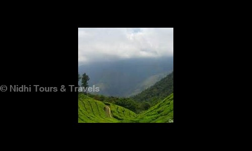 Nidhi Tours & Travels in Dwaraka Point,, Nashik - 422011