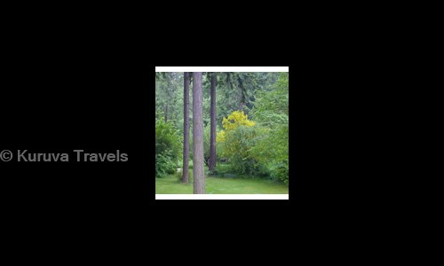 Kuruva Travels in Pandikkadavu, Mananthavady - 670645