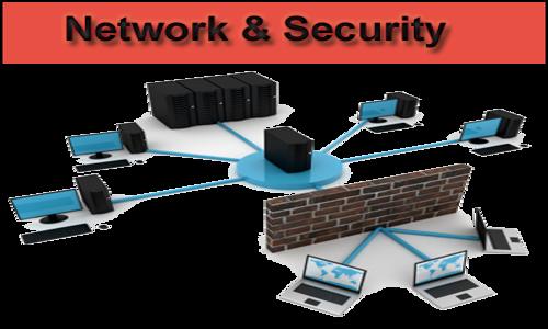 Shark Technologies in Ellis Bridge, Ahmedabad - 380009
