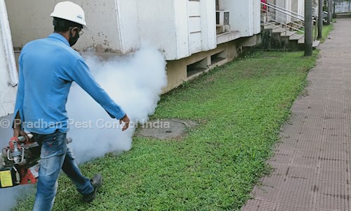 Pradhan Pest Control India in Khandagiri, Bhubaneswar - 751030