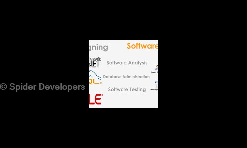 Spider Developers in Maninagar, Ahmedabad - 380008