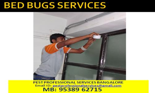 Pest Professional Services Pest Control in Chamrajpet, Bangalore - 560018