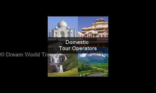 Dream World Travels in Rohini, Delhi - 110085