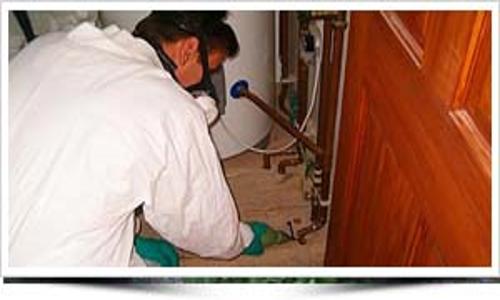 Aadhunic International Pest Control in Sector 51, Gurgaon - 110005