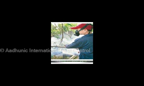 Aadhunic International Pest Control in South Extension Part I, Delhi - 110003