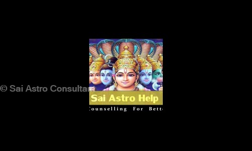 Sai Astro Consultant in Alandur, Chennai - 600016