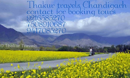 Thakur Travels in Sector 17, Panchkula - 160017