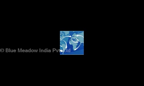 Blue Meadow India Pvt. Ltd. in Vasai, Mumbai - 401202