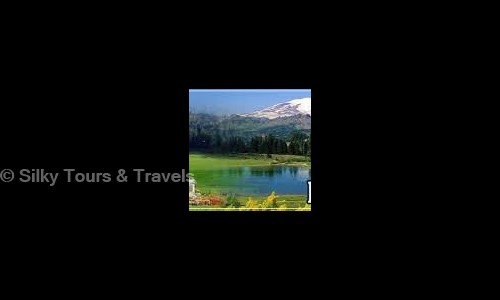 Silky Tours & Travels in Shahdara, Delhi - 110032