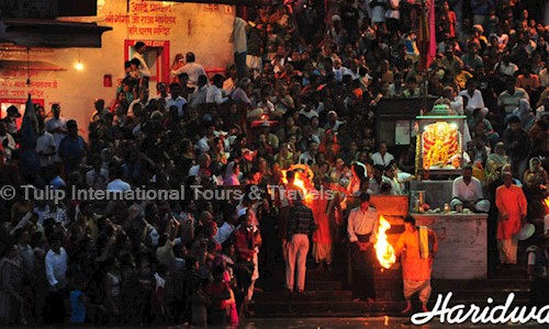 Tulip International Tours & Travels in Shoe Market, Agra - 282002