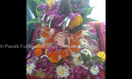 Pandit For Kaalsarppuja Deepak Shastri in Trimbakeshwar, Nashik - 422212