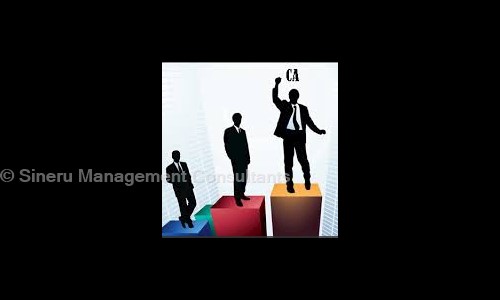 Sineru Management Consultants in Velachery, Chennai - 600042
