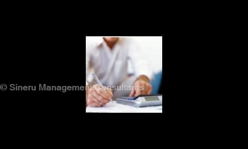 Sineru Management Consultants in Velachery, Chennai - 600042