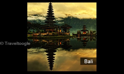 Traveltoogle.com in East of Kailash, Delhi - 110065