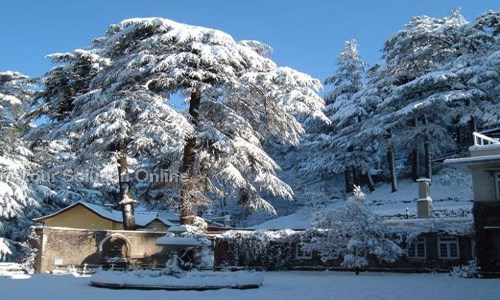 Tour Solution Online in Dilshad Garden, Delhi - 110095