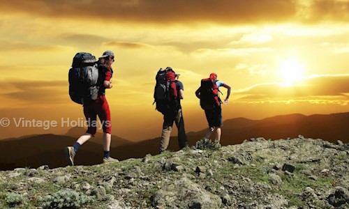 Vintage Holidays in Basavanagudi, Bangalore - 560004