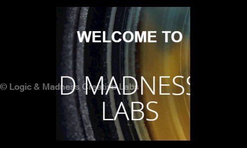 Logic & Madness Creative Labs in Safdarjung Enclave, Delhi - 110029