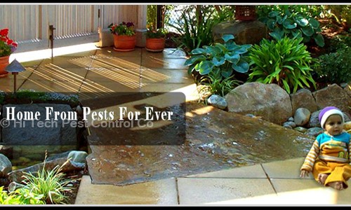 Hi Tech Pest Control Co. in Dilshad Garden, Delhi - 110095