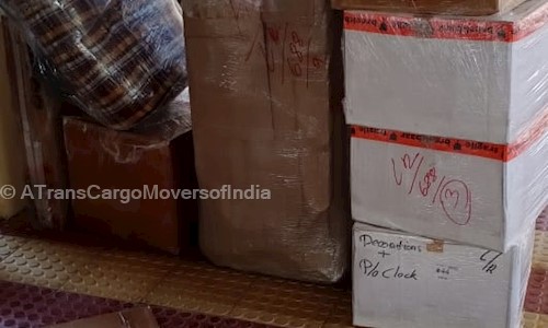 A Trans Cargo Movers of India in Mahipalpur, Delhi - 110037