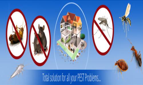 PC & CS  Pest Control & Cleaning Services in Punalur, Kollam - 691001