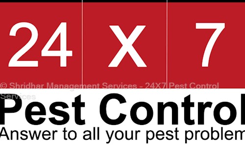 Shridhar Management Services - 24X7 Pest Control Services in Sector 17, Gurgaon - 122002