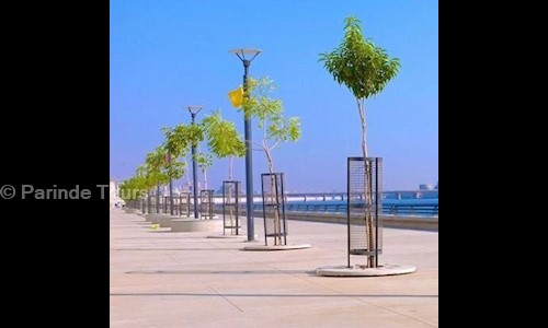 Parinde Tours in Navrangpura, Ahmedabad - 380009