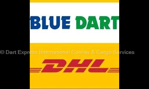 Dart Express International Courier & Cargo Services in Sector 15, Noida - 201301
