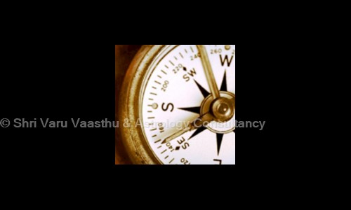 Shri Varu Vaasthu & Astrology Consultancy in Thiruvanmiyur, Chennai - 600041