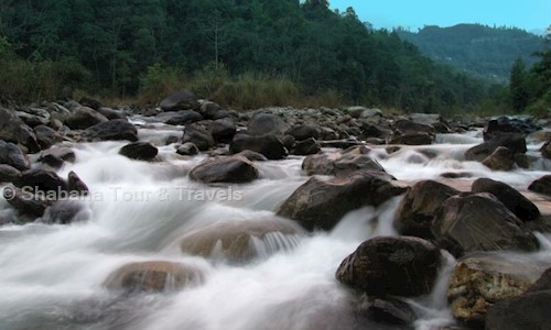 Shabana Tour & Travels in Paltan Bazar, Guwahati - 781008
