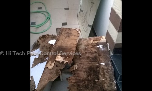Hi Tech Pest Control Services in New Mondha, Nanded - 431601