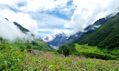 Batra Tours & Travel in Sector 10D, Chandigarh - 160011