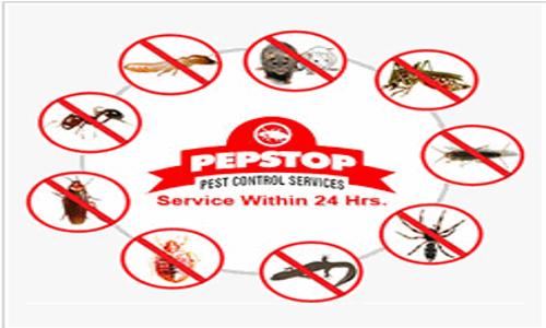 Pepstop Pest Control Service in Ghatkopar East, Mumbai - 400077