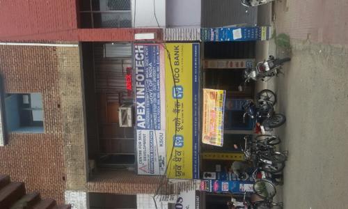 Apex Infotech in Sector 35D, Chandigarh - 160035