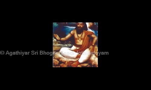 Agathiyar Sri Bhogar Naadi Jothidalayam in Anna Nagar East, Chennai - 600102